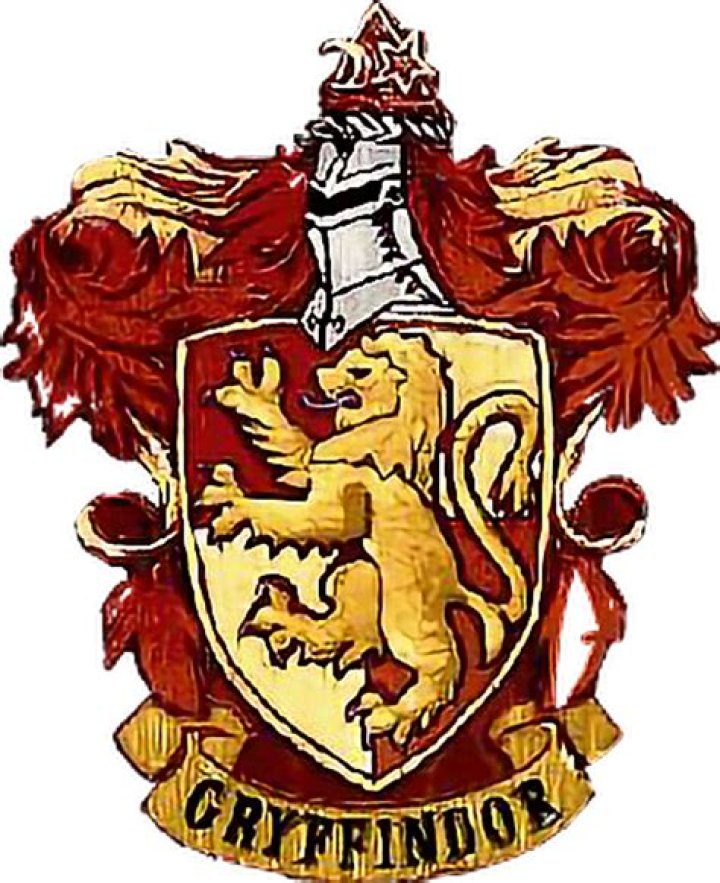 Is Gryffindor a lion?