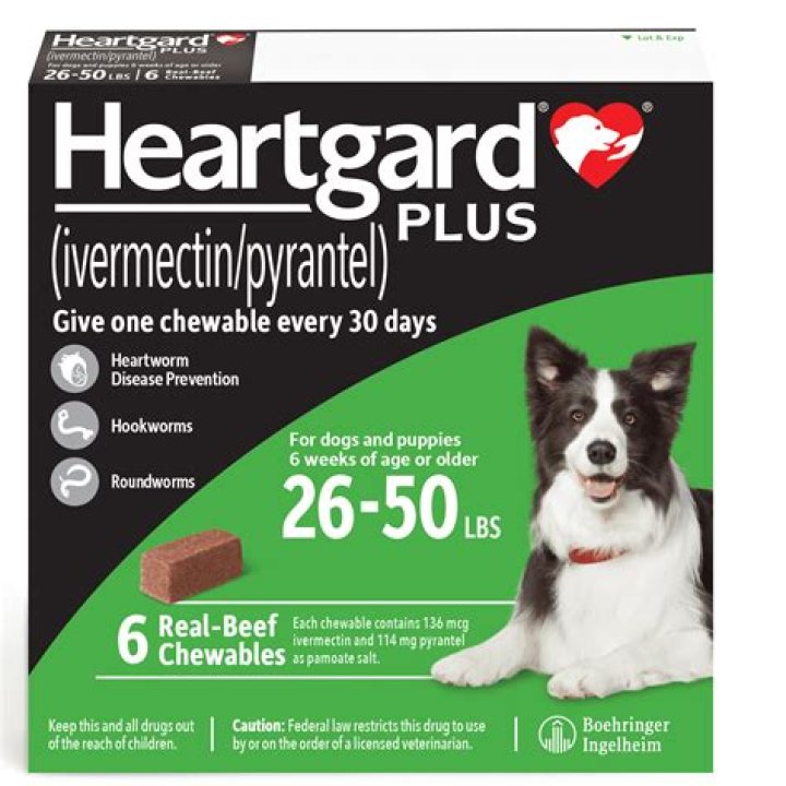 Is Heartgard for dogs a prescription?