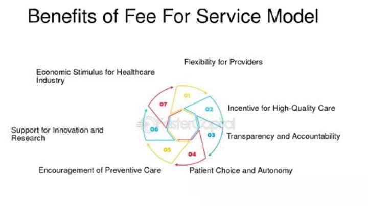 Is HMO a fee for service?