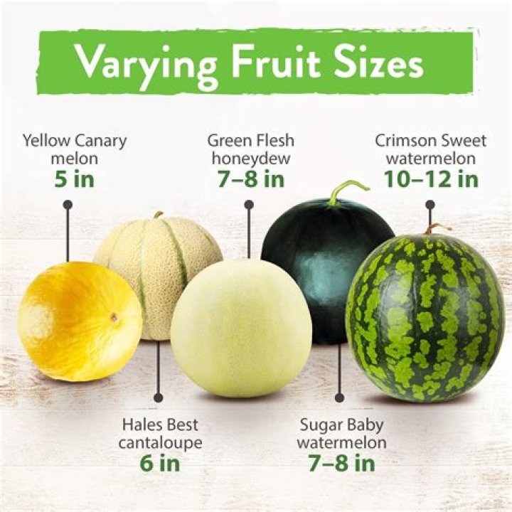 Is honeydew melon high in calories?