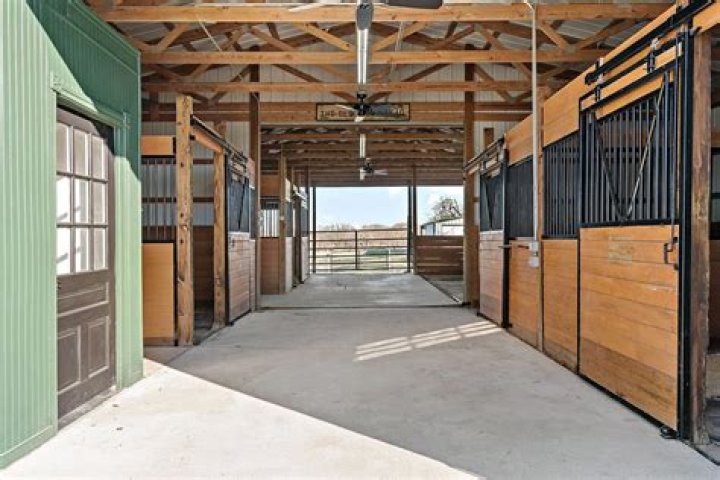 Is horse training a good career?