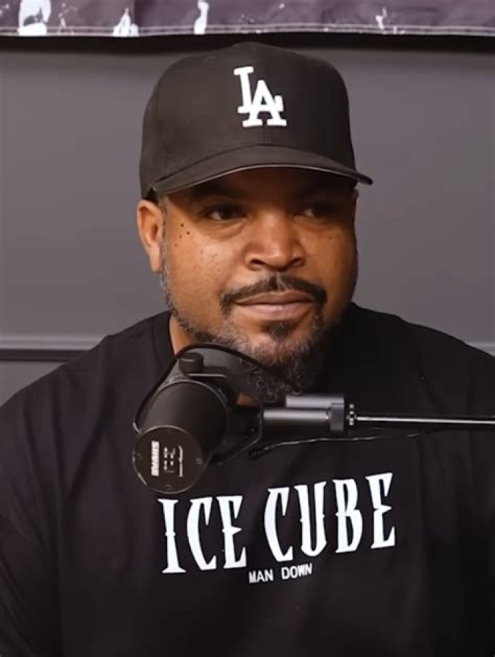 Is ice Cube business profitable?