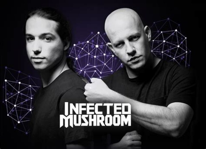 Is Infected Mushroom techno?