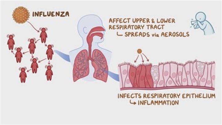 Is influenza 3 contagious?