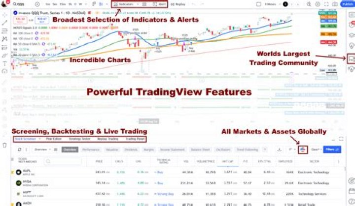 Is investor underground legit?