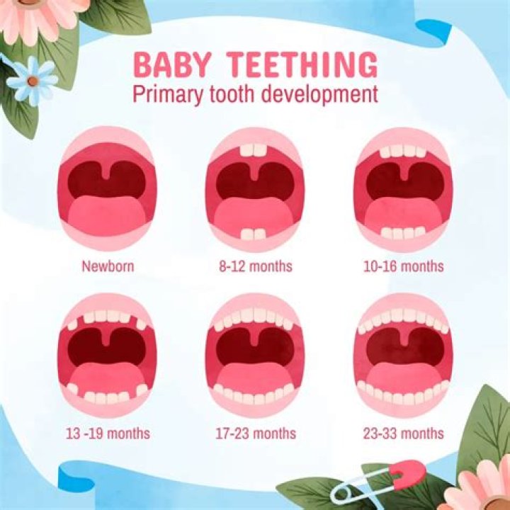 Is it always the bottom teeth that come in first?