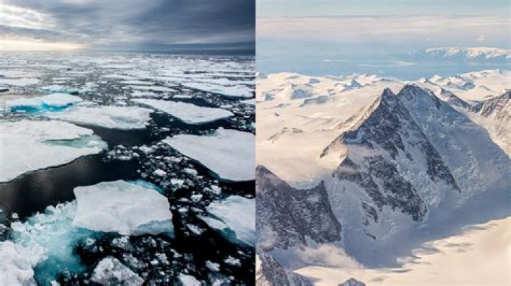 Is it Arctic or Antarctic?