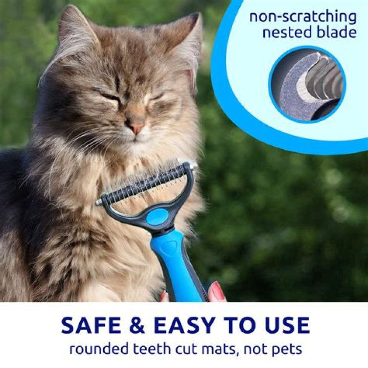 Is it bad to brush out cats undercoat?