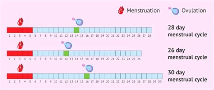 Is it harder to get pregnant with a longer cycle?