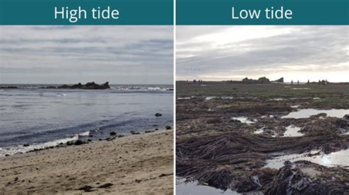 Is it high tide or low tide in Santa Barbara?