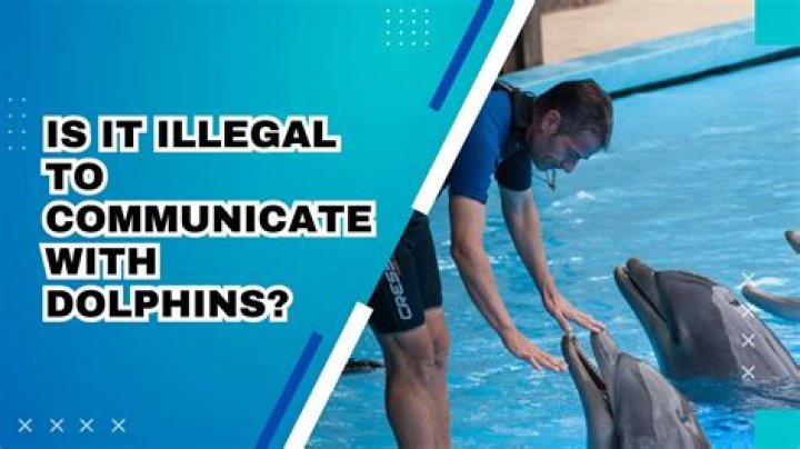 Is it illegal to have fish eat your feet?