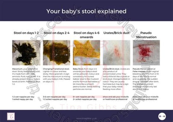 Is it normal for my 3 month old to not poop for 4 days?