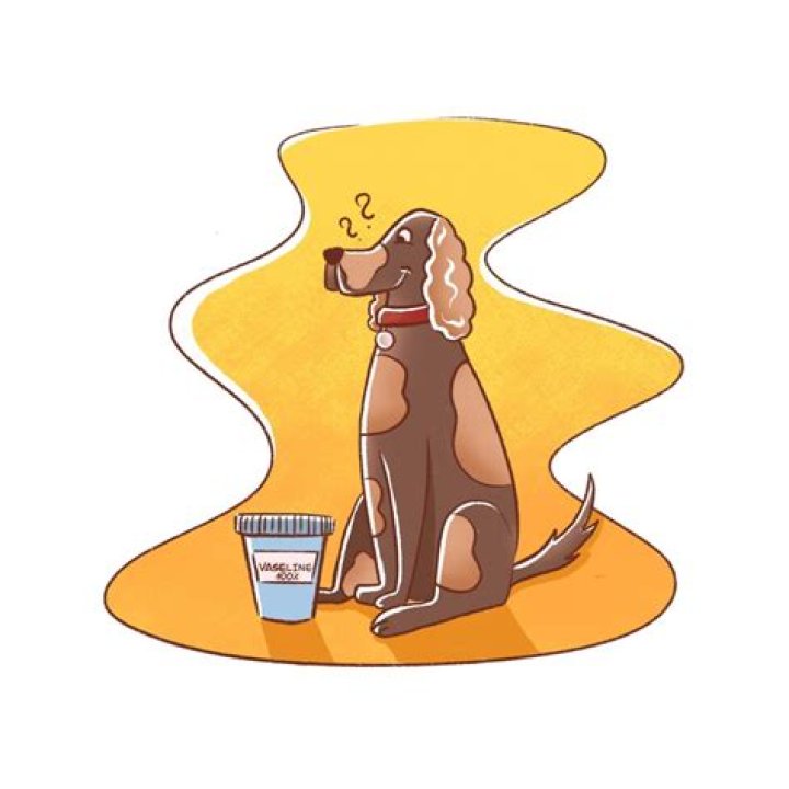 Is it OK to board a dog for a week?