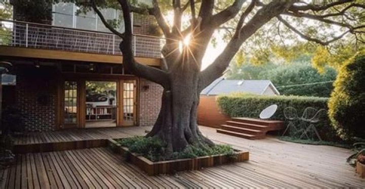 Is it OK to build a deck around a tree?