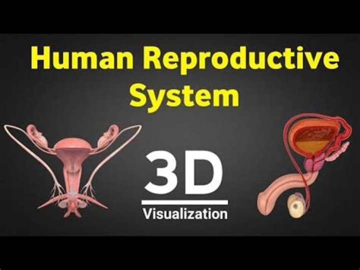Is it possible to swap reproductive organs?