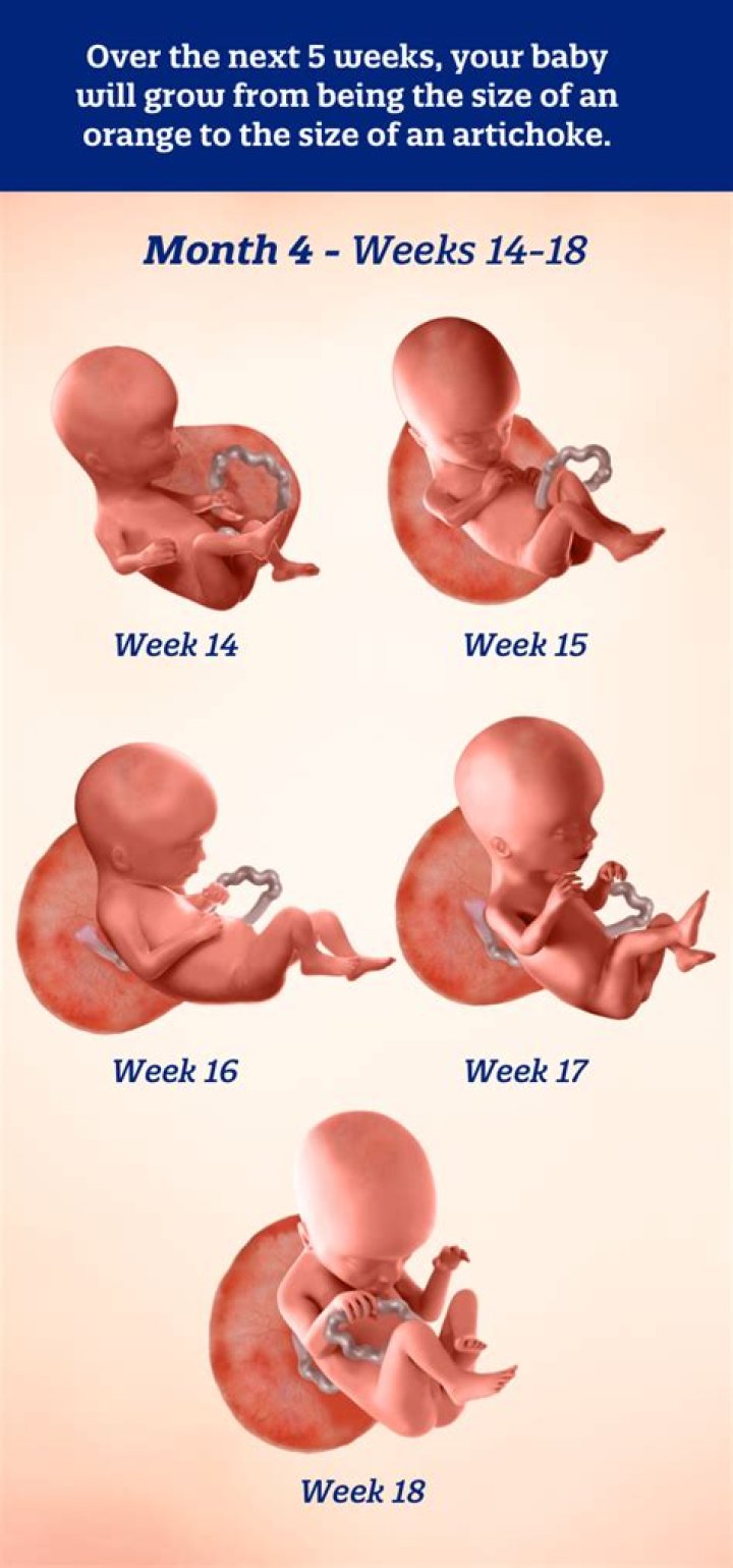 Is it safe to have a baby at 14?