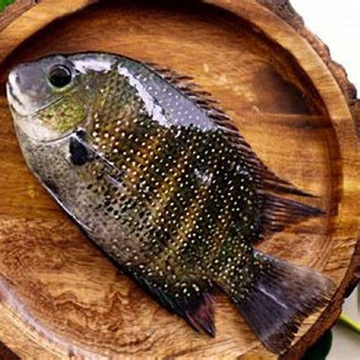 Is karimeen tasty?