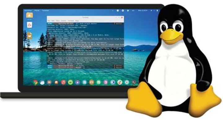 Is Linux considered PC?