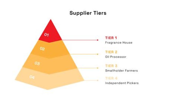 Is Magna a Tier 1 supplier?
