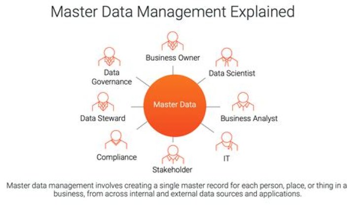 Is Master Spa a good company?
