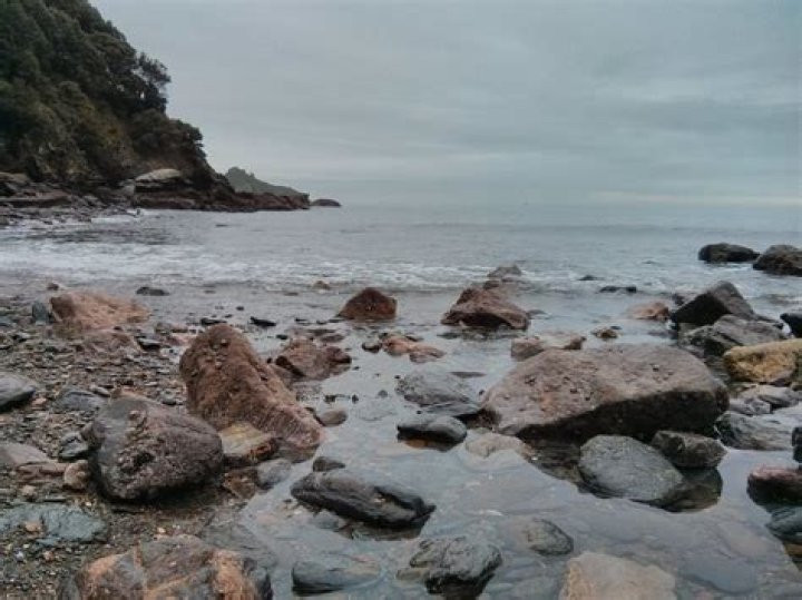 Is meadfoot beach open?