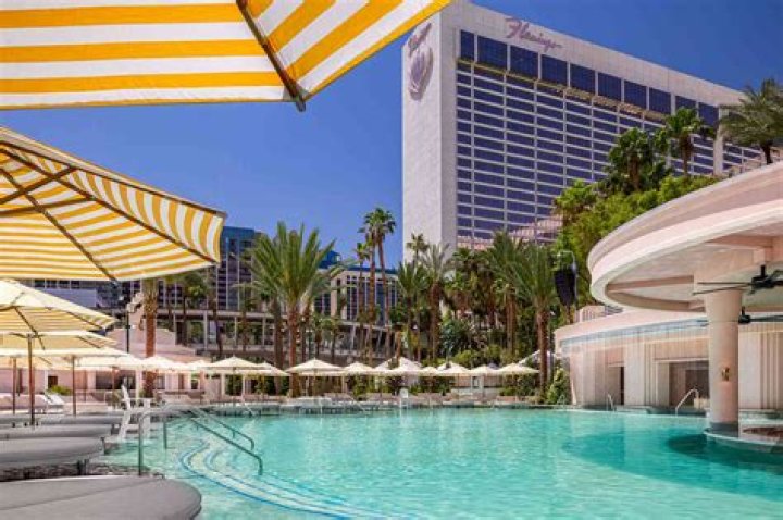 Is MGM Signature pool open year round?