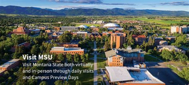 Is Montana State University d1?