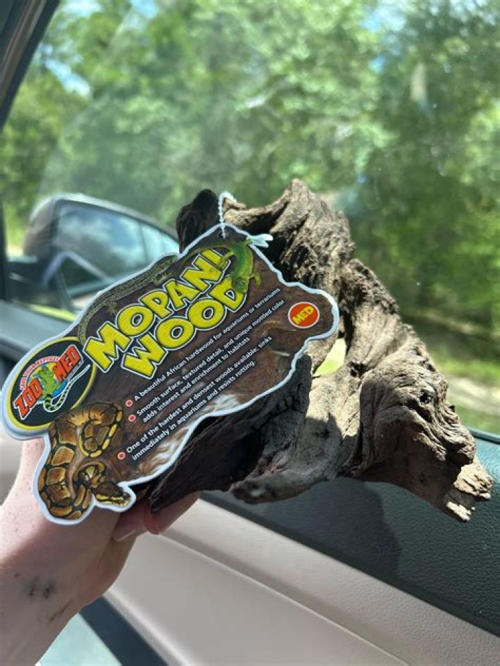 Is Mopani wood real wood?
