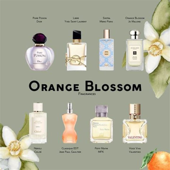 Is orange blossom expensive?