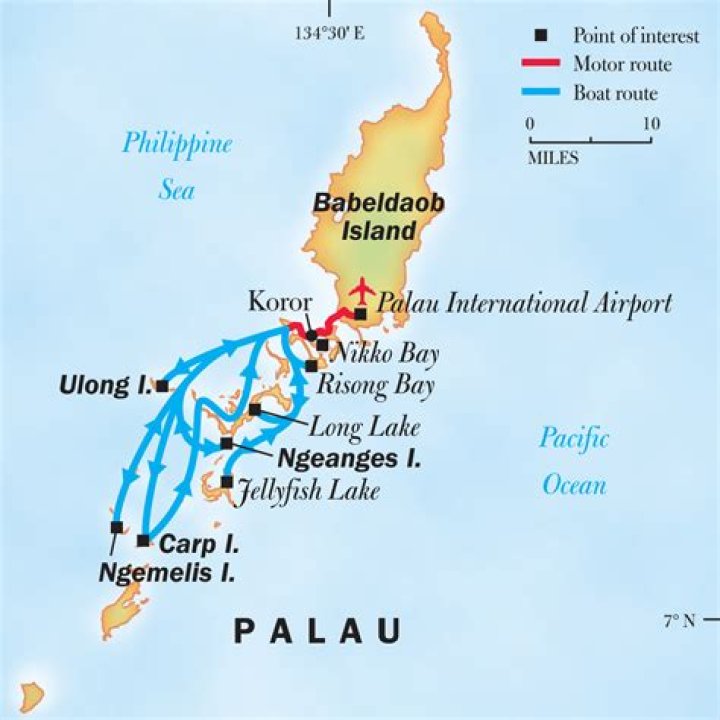 Is Palau good for diving?