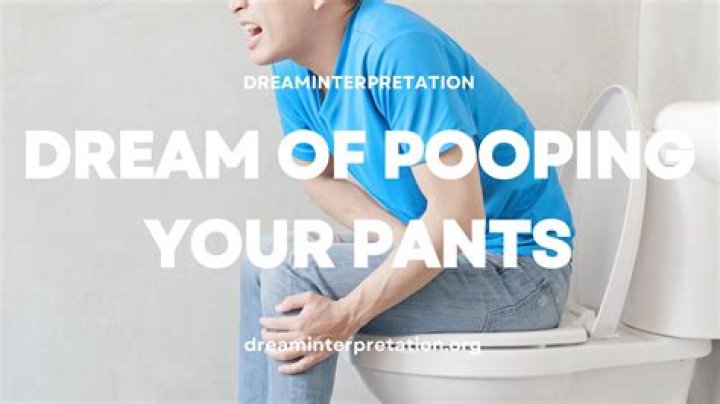 Is pooping your pants in public legal?