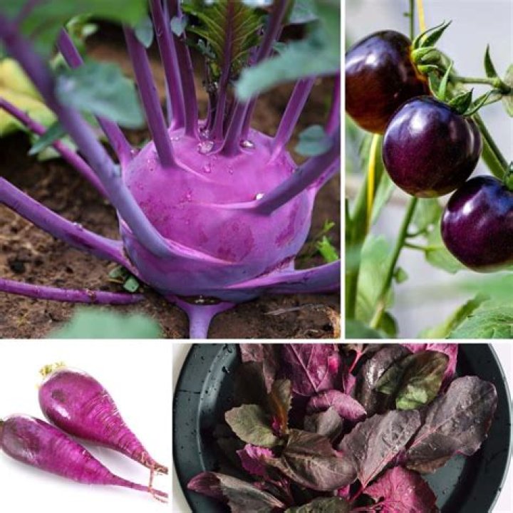 Is Purple Angelica edible?