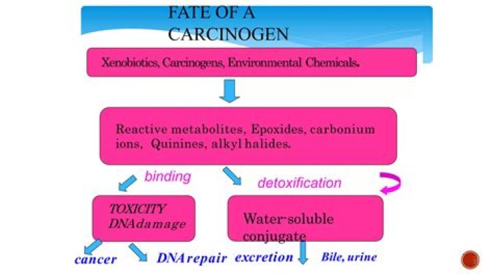 Is pyrethrum a carcinogen?