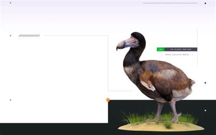 Is Raphus Cucullatus extinct?