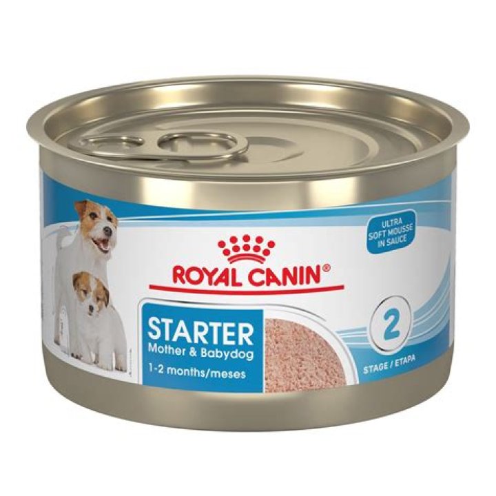 Is Royal Canin a good starter?