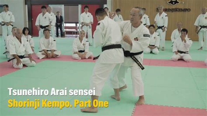 Is Ryukyu Kempo effective?