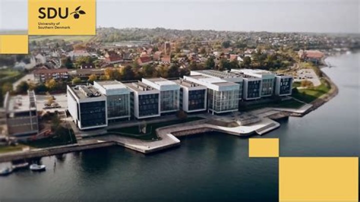 Is SDU Denmark a good university?