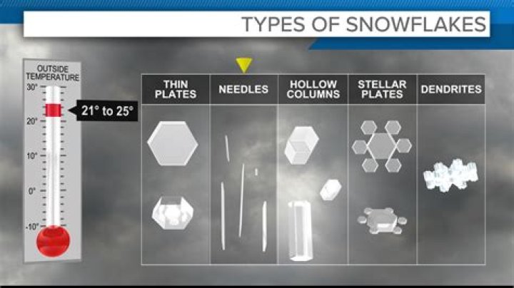 Is Shiny Flakes a true story?