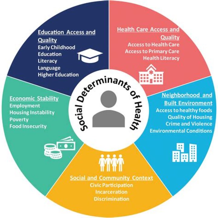 Is social policy a useful degree?