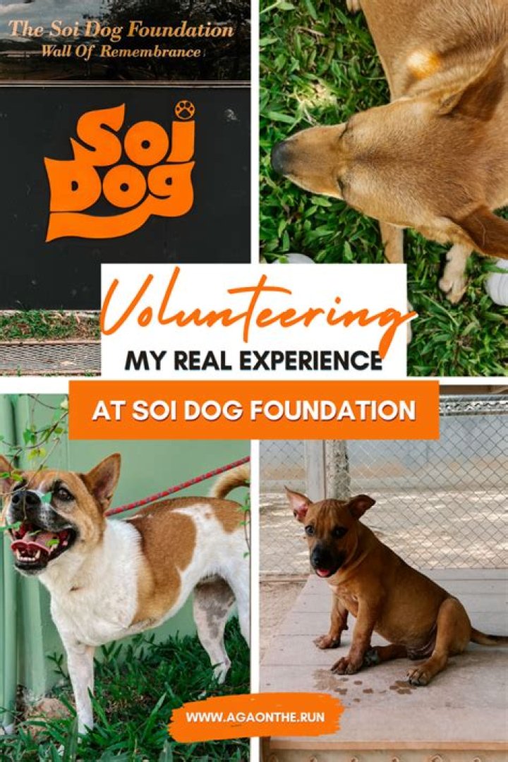 Is Soi Dog Foundation legitimate?
