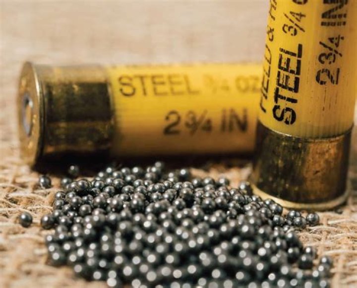 Is steel shot any good?