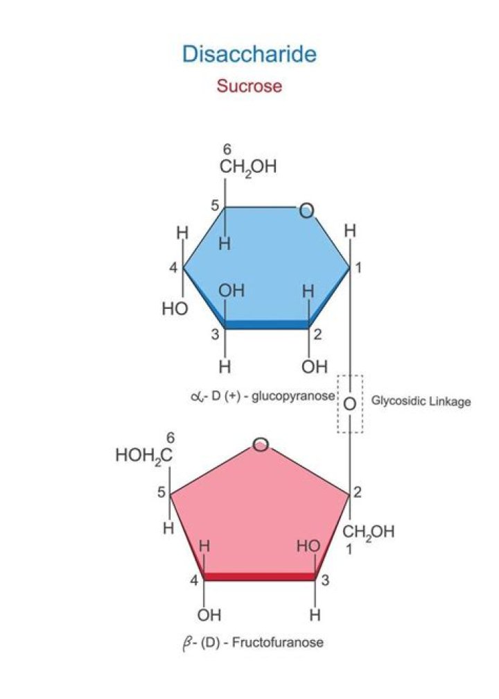Is sucrose a monosaccharide disaccharide?