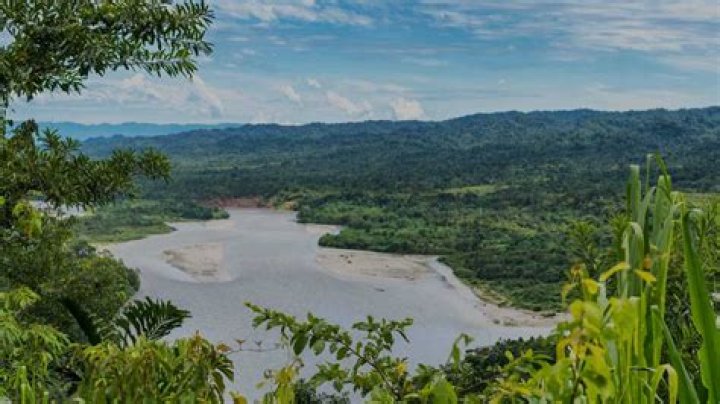Is Tambopata in the Amazon?