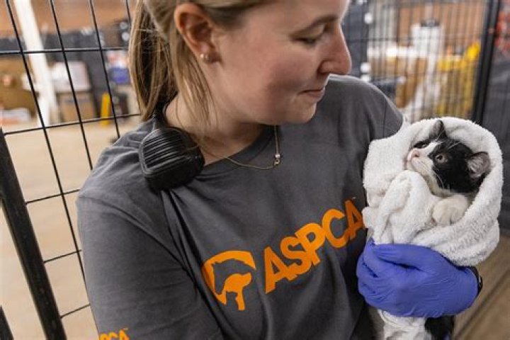 Is the Aspca the same as the Humane Society?