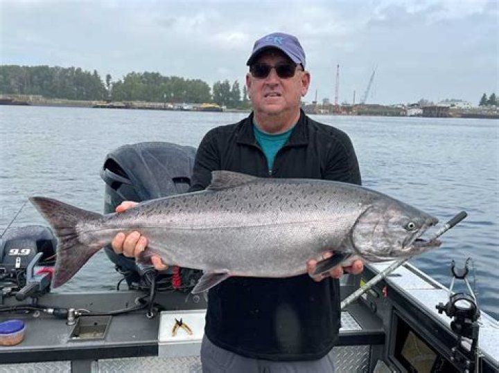Is the Columbia River open for steelhead fishing?