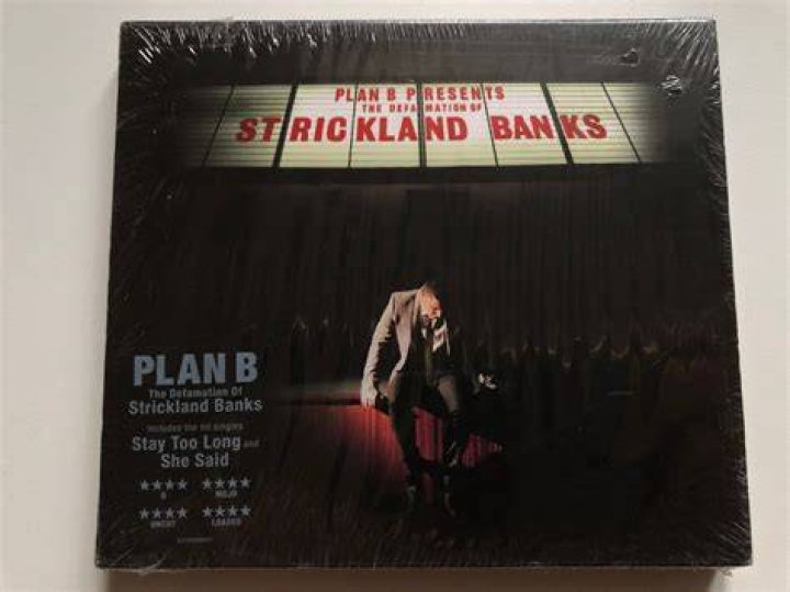 Is The Defamation of Strickland Banks a concept album?