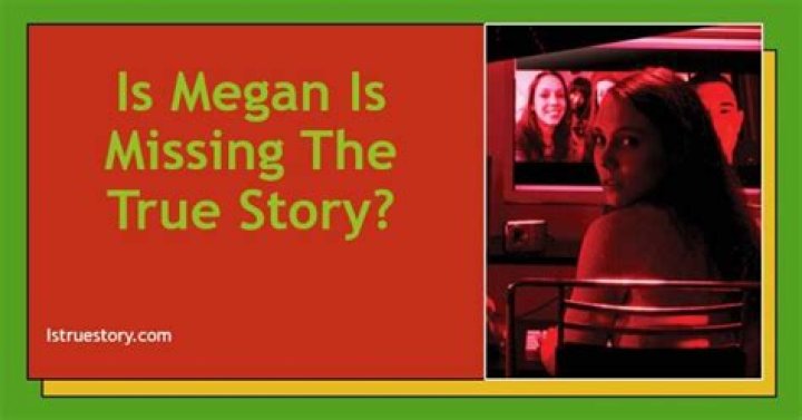 Is the last 22 minutes of Megan is missing real?