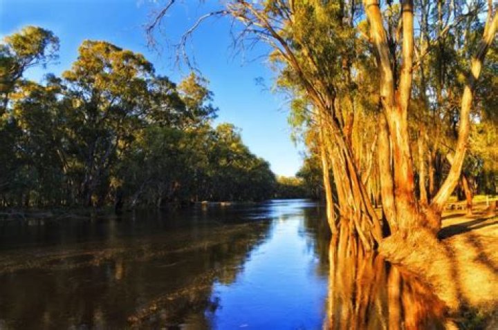 Is the Murrumbidgee River the longest river in Australia?