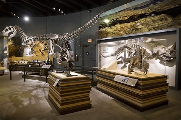 Is the museum of Paleontology open?