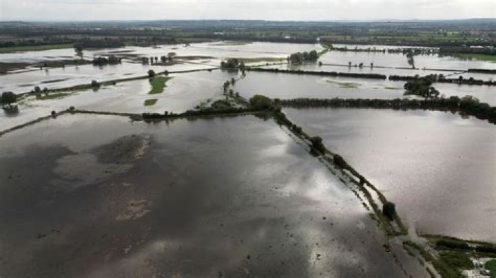 Is the Shoal River flooded?